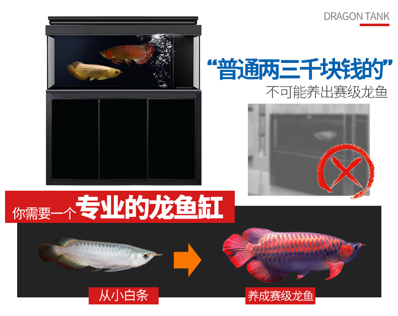 雷狼水族箱超白玻璃龍魚缸