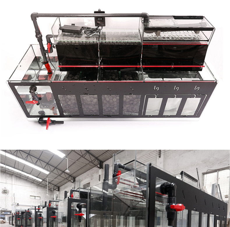 專業(yè)定制各種大型金晶超白魚缸