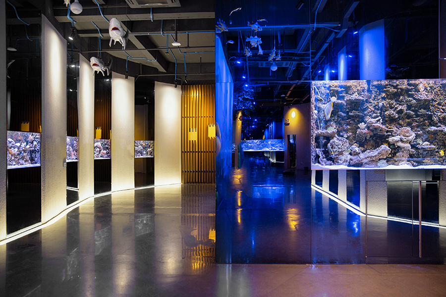 海洋館魚缸缸定做——龍威水族