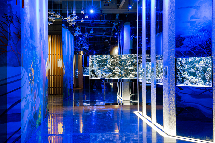 海洋館魚缸缸定做——龍威水族