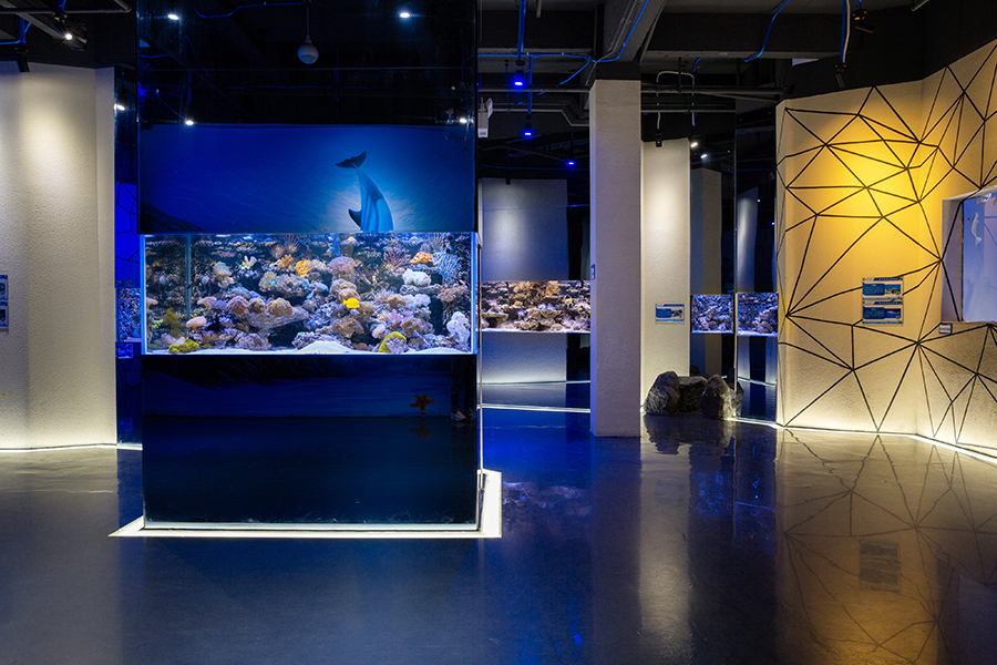 海洋館魚缸缸定做——龍威水族