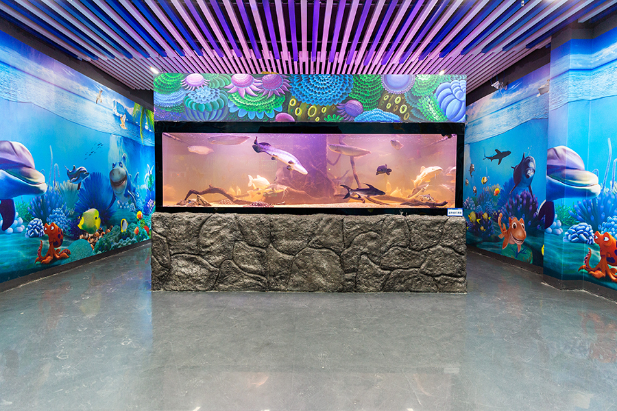 海洋館魚缸缸定做——龍威水族