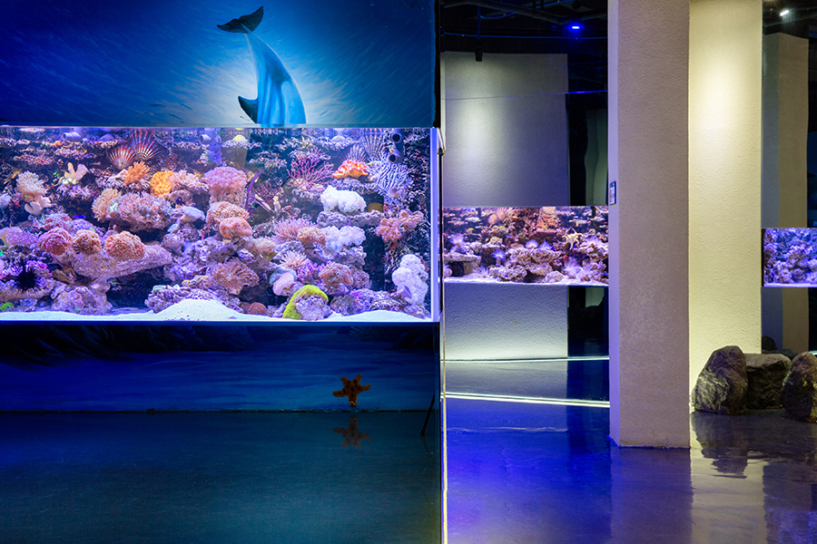 海洋館魚缸缸定做——龍威水族