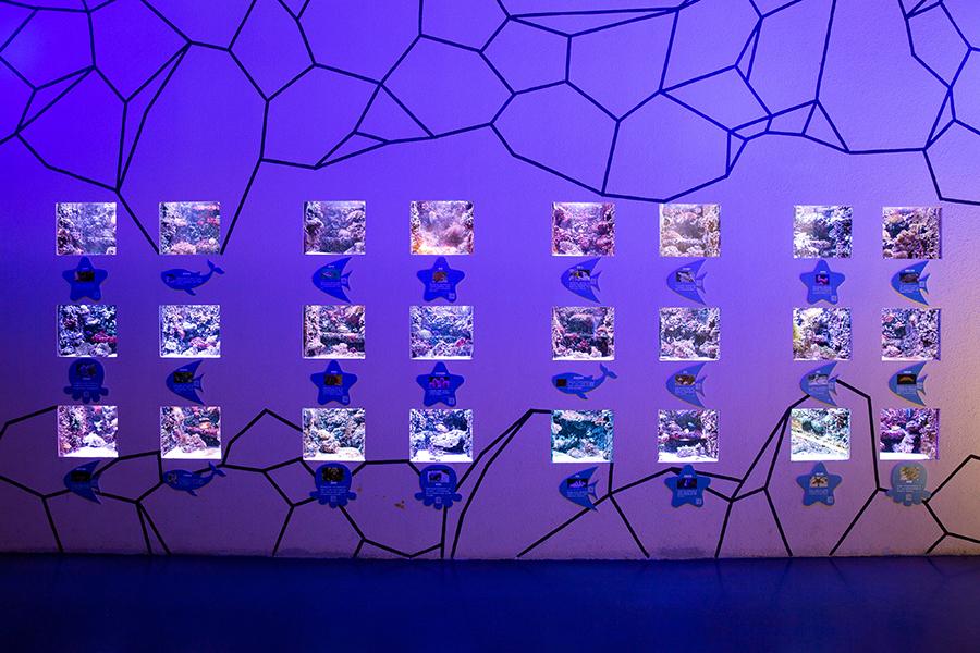 海洋館魚缸缸定做——龍威水族