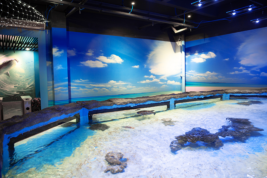 海洋館魚缸缸定做——龍威水族