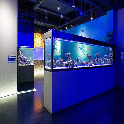 海洋館魚缸缸定做——龍威水族