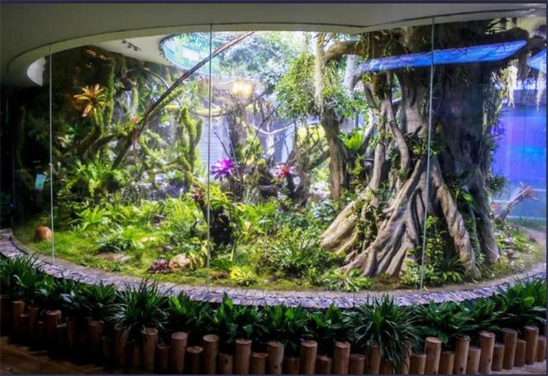 生態(tài)熱帶雨林缸