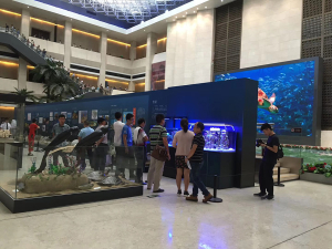 國(guó)家一級(jí)博物館指定龍威定制展示魚(yú)缸