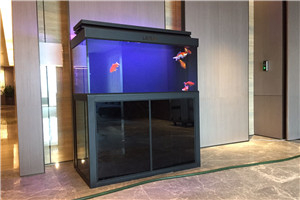 私人訂制 上門(mén)安裝 服務(wù)