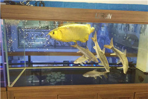 私人訂制 上門(mén)安裝 服務(wù)