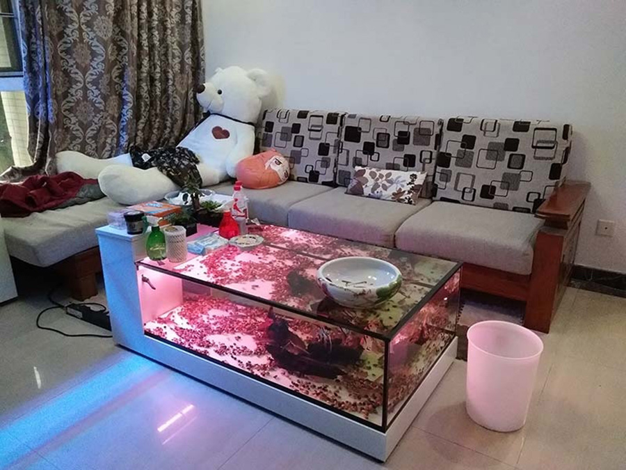 客廳茶幾魚(yú)缸定制項(xiàng)目