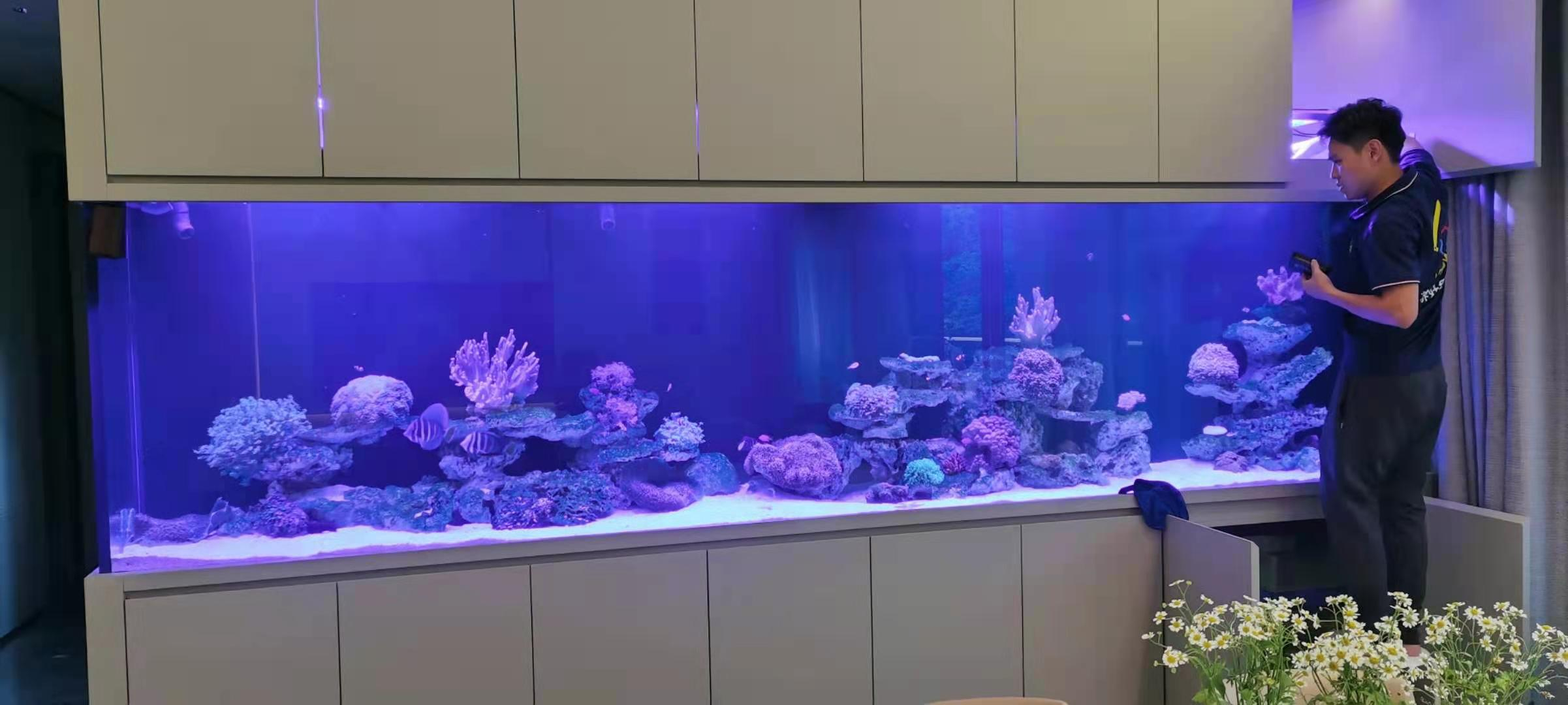 定制海水魚(yú)缸上門(mén)清洗服務(wù)