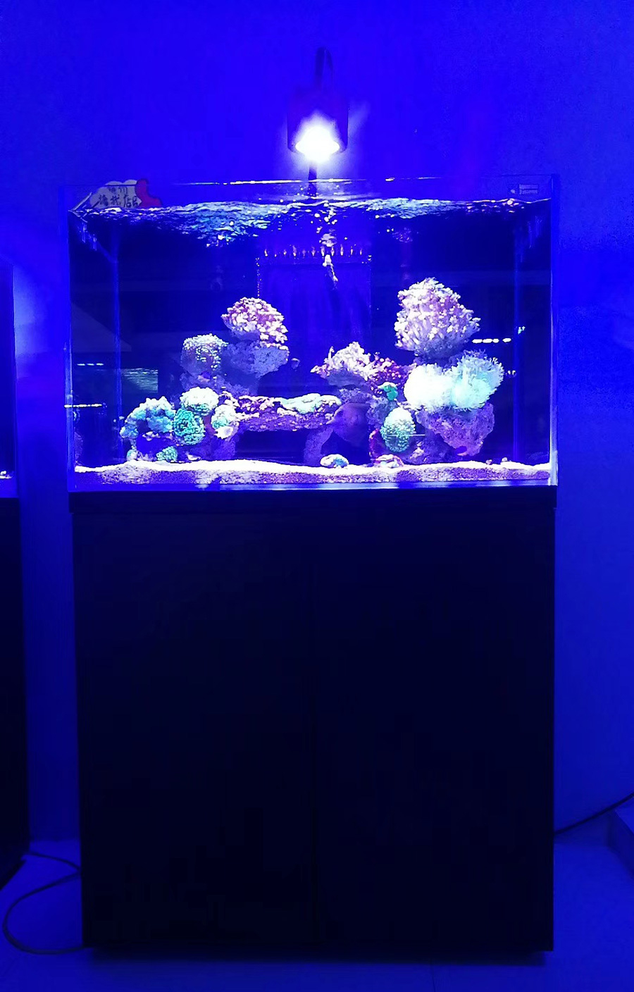 客廳海水缸定制項(xiàng)目