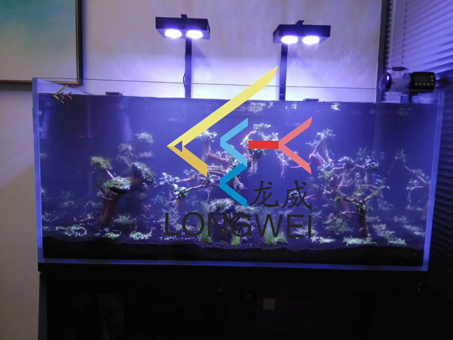 客廳海水缸定制項(xiàng)目