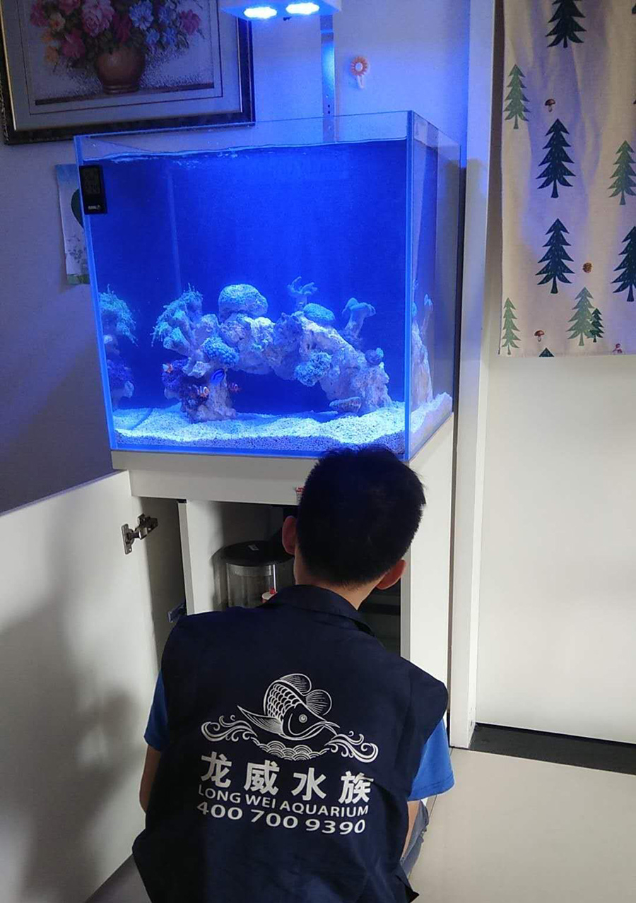 客廳海水缸定制項(xiàng)目