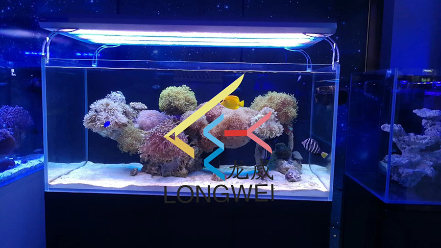 客廳海水缸定制項(xiàng)目