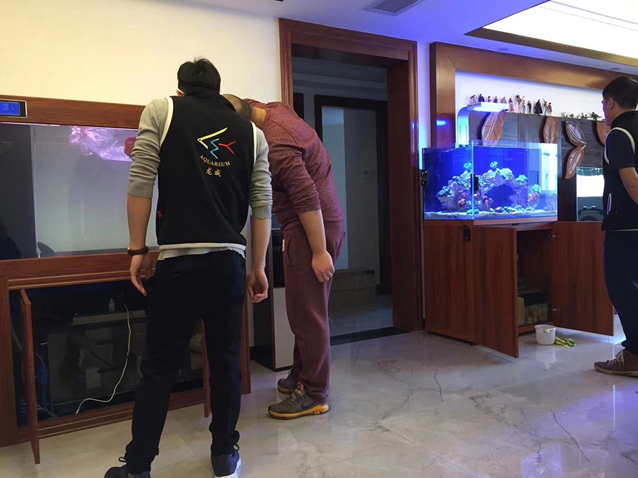 淡水海水缸定制項(xiàng)目