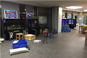 道爾頓公學(xué) 海洋科普 走進(jìn)學(xué)校