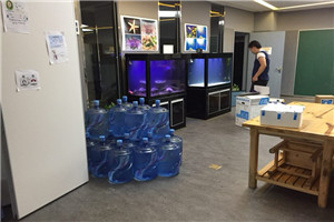 道爾頓公學(xué) 海洋科普 走進(jìn)學(xué)校