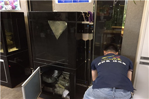 道爾頓公學(xué) 海洋科普 走進(jìn)學(xué)校