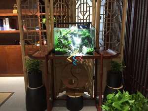 道爾頓公學(xué) 海洋科普 走進(jìn)學(xué)校