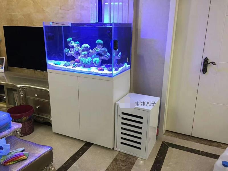 家庭魚(yú)缸定做案例——龍威水族