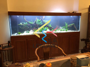 茶幾背景定制淡水草缸案例——龍威水族