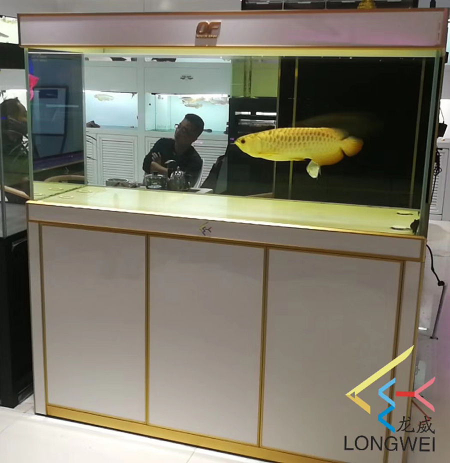 龍威水族——淡水龍魚缸定制案例