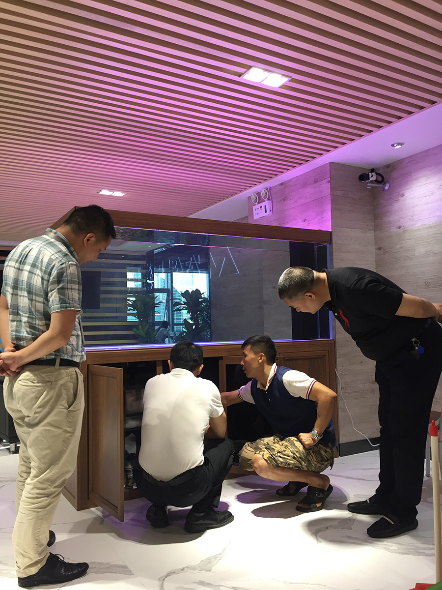 公司 大型魚缸定制——龍威水族