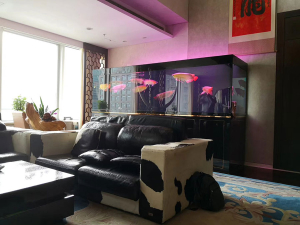 公司 大型魚(yú)缸定制——龍威水族