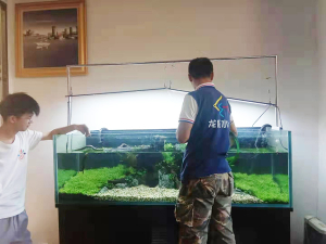 淡水缸造景項(xiàng)目案例