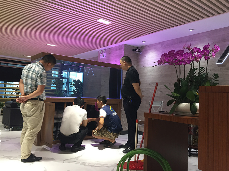 辦公室定制玻璃鋼項(xiàng)目