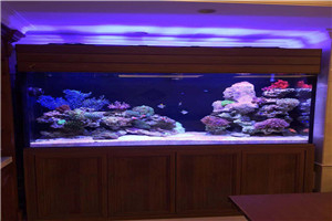 大型海洋魚(yú)缸 觀賞魚(yú)缸 海洋景觀