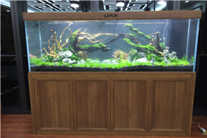 自然景觀 回歸自然 水生植物景觀 水草景觀