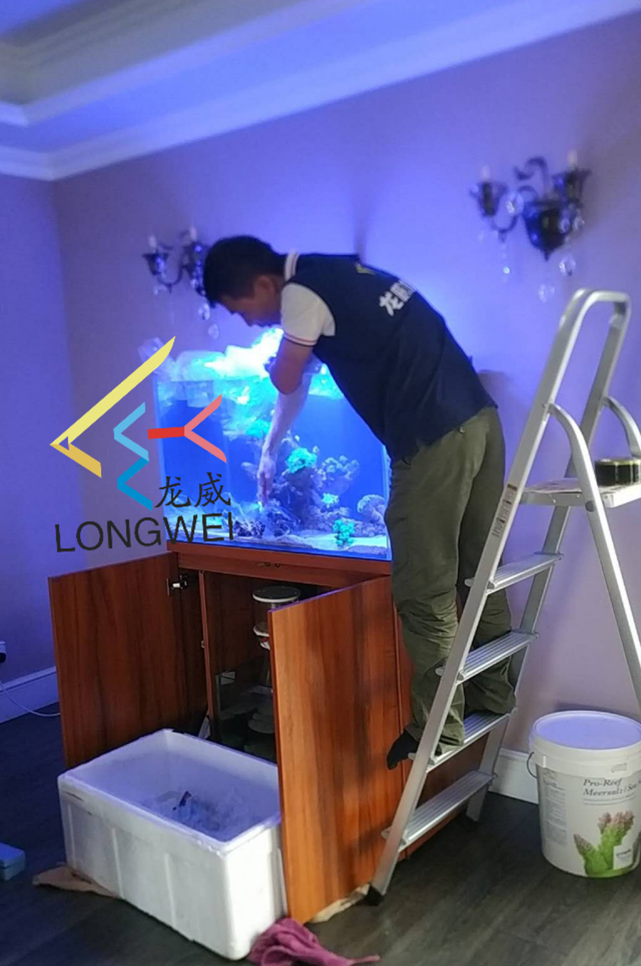 龍威定制海水缸上門服務(wù)