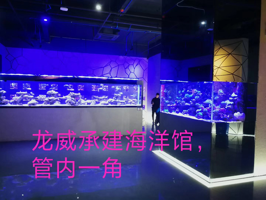 海洋館建設(shè) 竣工 營業(yè) 廣東汕頭蓮花峰海洋文化館