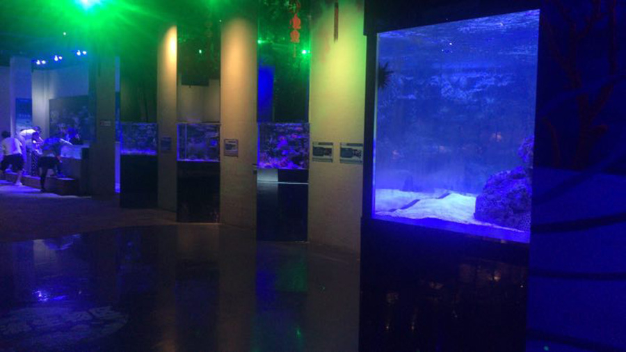 海洋館建設(shè) 竣工 營業(yè) 廣東汕頭蓮花峰海洋文化館