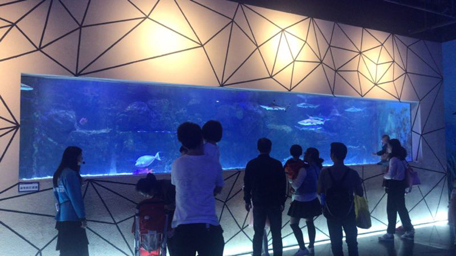 海洋館建設(shè) 竣工 營業(yè) 廣東汕頭蓮花峰海洋文化館