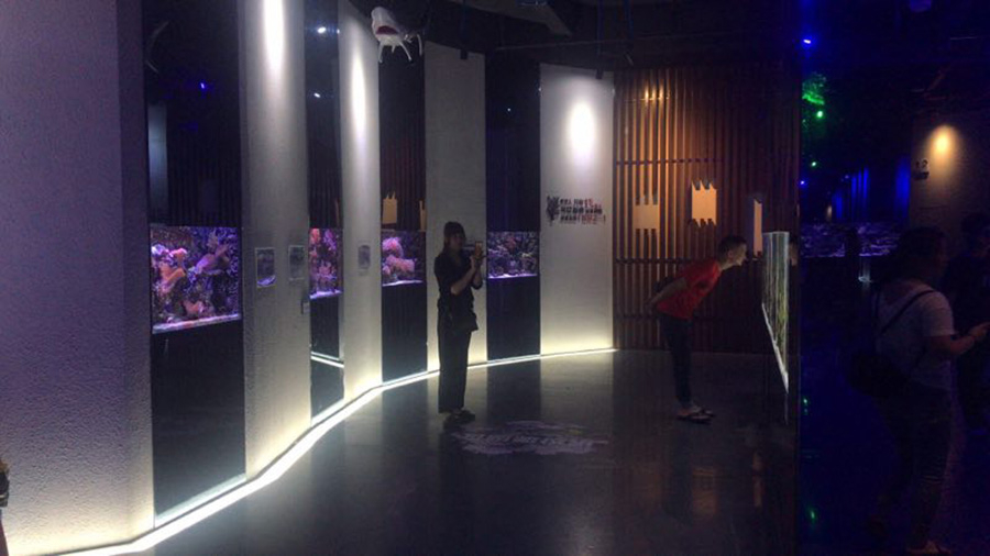 海洋館建設(shè) 竣工 營業(yè) 廣東汕頭蓮花峰海洋文化館