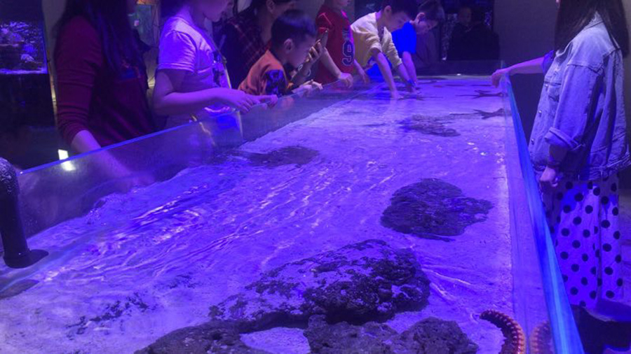 海洋館建設(shè) 竣工 營業(yè) 廣東汕頭蓮花峰海洋文化館