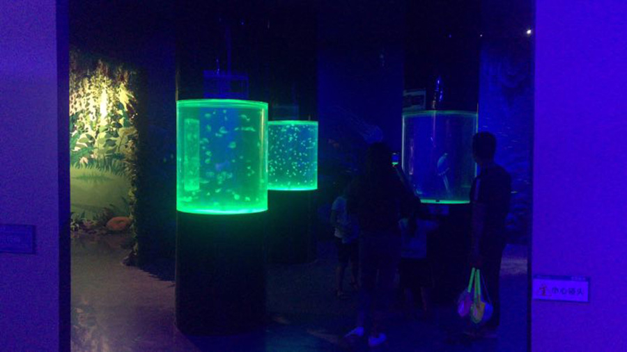 海洋館建設(shè) 竣工 營業(yè) 廣東汕頭蓮花峰海洋文化館