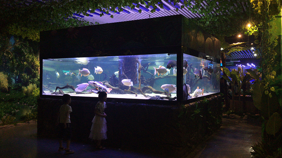 海洋館建設(shè) 竣工 營業(yè) 廣東汕頭蓮花峰海洋文化館