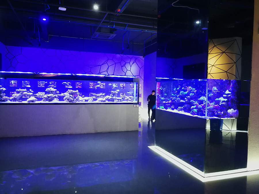 海洋館建設(shè) 竣工 營業(yè) 廣東汕頭蓮花峰海洋文化館