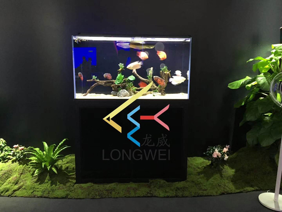 深圳大型魚缸生產(chǎn)廠家—龍威水族