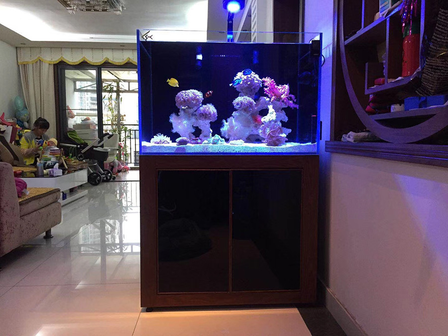 龍威水族_定制超白玻璃魚缸 質(zhì)量保證,定制超白玻璃魚缸|深圳海缸定制|深圳魚缸定做